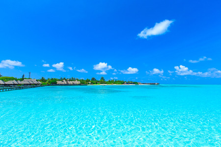 beach in Maldives with few palm trees and blue lagoonのeditorial素材