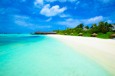 beach in Maldives with few palm trees and blue lagoonのeditorial素材