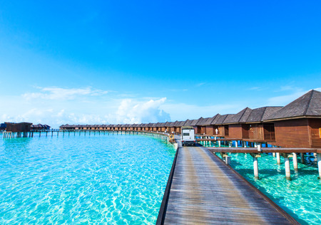 tropical beach in Maldives with few palm trees and blue lagoonの写真素材