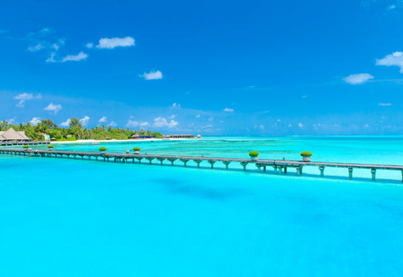 White tropical beach in Maldives with few palm trees and blue lagoonの写真素材