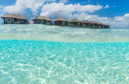 Tranquil underwater scene with copy spaceの写真素材