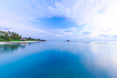 tropical beach in Maldives with few palm trees and blue lagoonの写真素材