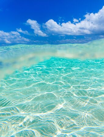 Tranquil underwater scene with copy spaceの写真素材