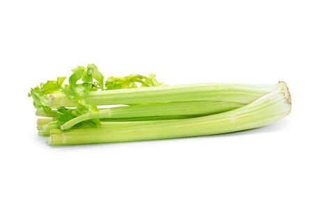 celery on a white backgroundの写真素材