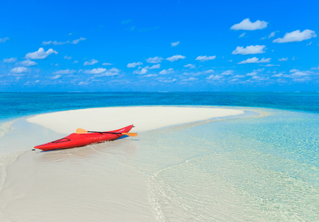 tropical beach in Maldives with few palm trees and blue lagoonの写真素材