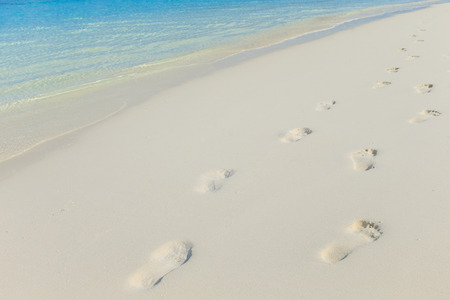 tropical beach in Maldivesの写真素材
