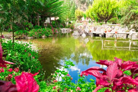 Garden landscapeの写真素材