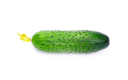 fresh cucumbers isolated on whiteの写真素材