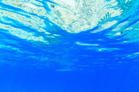 Tranquil underwater scene with copy space
