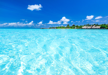 tropical beach in Maldives with few palm trees and blue lagoonの写真素材