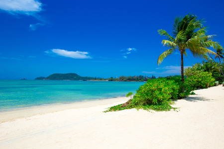 beach and tropical seaの写真素材