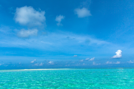 tropical beach in Maldives with few palm trees and blue lagoonの写真素材