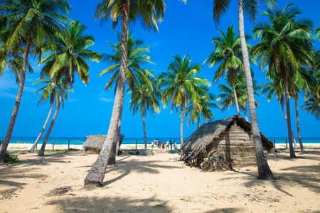tropical beach in Sri Lankaの写真素材