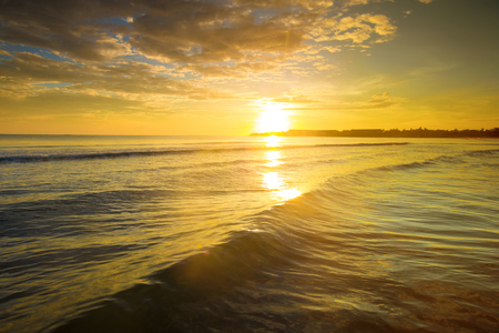 tropical beach in Sri Lankaの写真素材