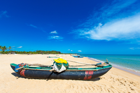 beach and tropical seaの写真素材