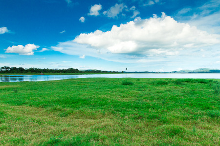 Sri Lanka Lake, Sri lanka landscape, Trees on water, Trees on lakeの写真素材
