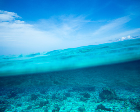 tropical sea under the blue skyの写真素材