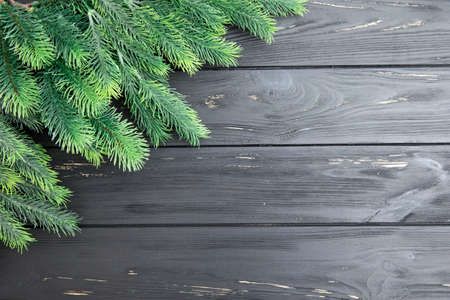 Christmas fir tree on the wooden boardの写真素材