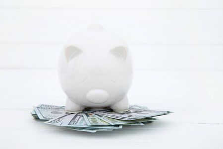 piggy bank on dollarsの写真素材