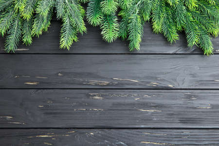 Christmas fir tree on the wooden boardの写真素材