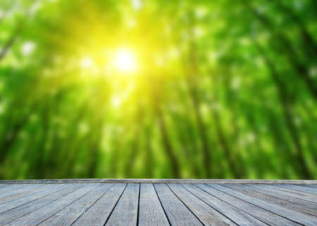  wooden deck table with forest backgroundの写真素材