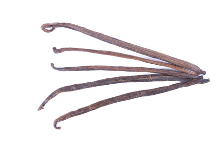 vanilla pods on white backgroundの写真素材