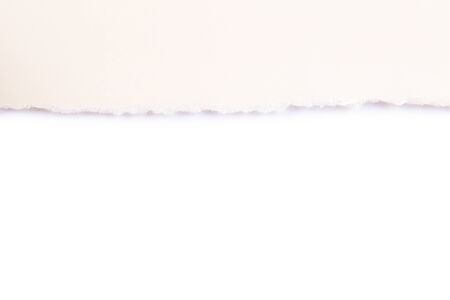 torn paper on white backgroundの写真素材