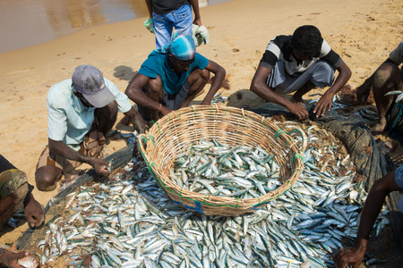 SRI LANKA - Mach 23: Local fishermen pull a fishing net from Indian Ocean on Mach 23, 2017 in Kosgoda, Sri Lanka. Fishing in Sri Lanka is the way they earn their living.のeditorial素材