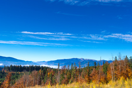 Carpathian mountain sunny landscapeの写真素材