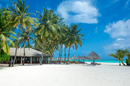 tropical Maldives island with white sandy beach and seaの写真素材