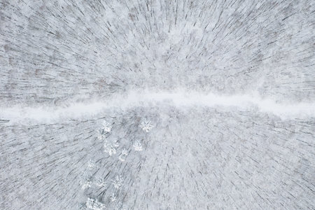 beautiful winter forest and the roadの写真素材