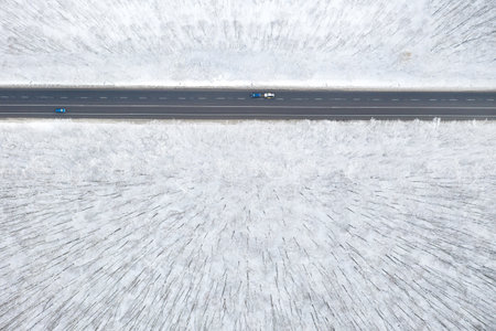 beautiful winter forest and the roadの写真素材