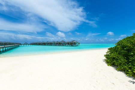 tropical Maldives island with white sandy beach and seaの写真素材