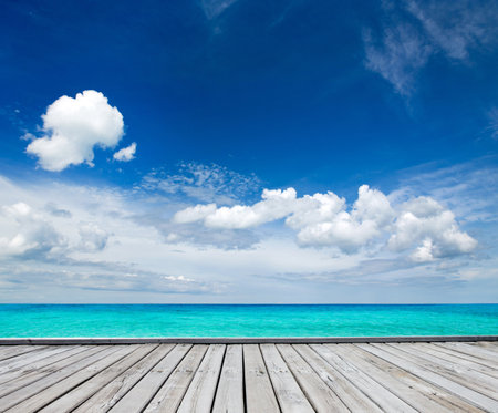 tropical Maldives island with white sandy beach and seaの写真素材