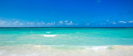 tropical beach in Maldivesの写真素材