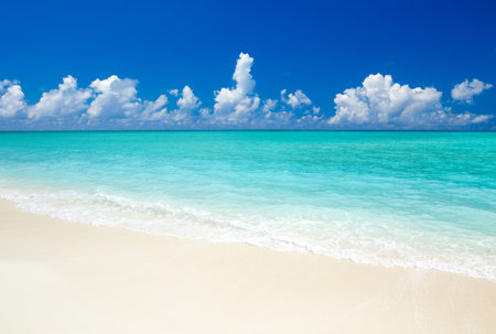 tropical Maldives island with white sandy beach and seaの写真素材