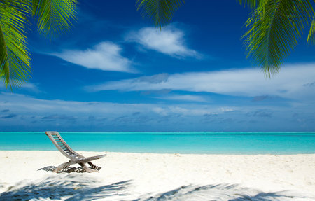 tropical Maldives island with white sandy beach and seaの写真素材