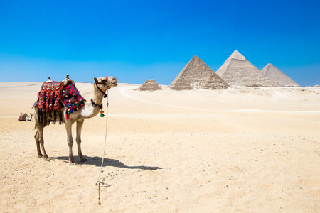 pyramids with a beautiful sky of Giza in Cairo, Egypt.の写真素材