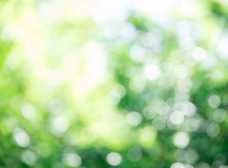 Green bokeh background and sunlightの写真素材