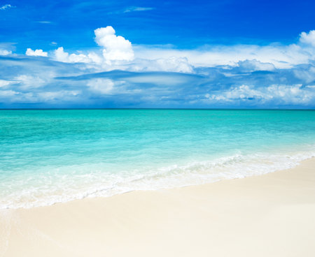 tropical Maldives island with white sandy beach and seaの写真素材