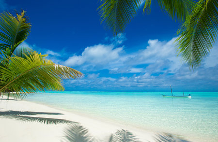 tropical Maldives island with white sandy beach and seaの写真素材