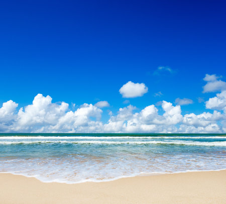 tropical Maldives island with white sandy beach and seaの写真素材