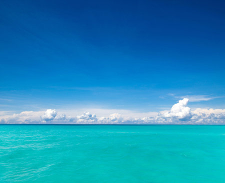 tropical Maldives island with white sandy beach and seaの写真素材