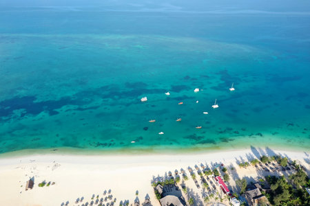 Tropical Sea. Amazing bird eyes view in Zanzibarの写真素材