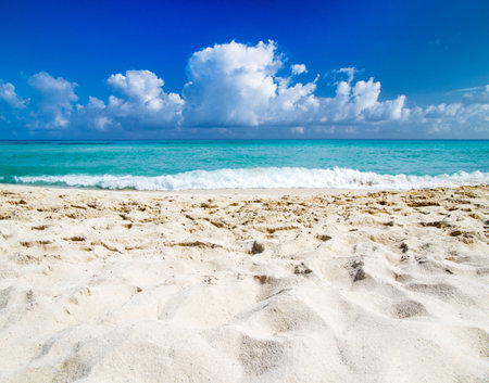 Beautiful tropical Maldives island with beach.の写真素材