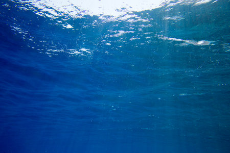 Tranquil underwater scene with copy spaceの写真素材