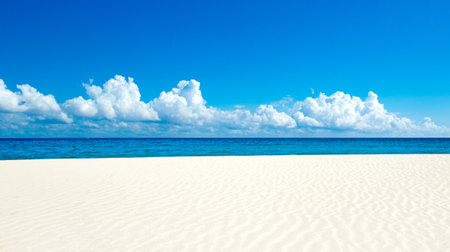 tropical Maldives island with white sandy beach and seaの写真素材