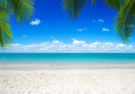 tropical Maldives island with white sandy beach and seaの写真素材