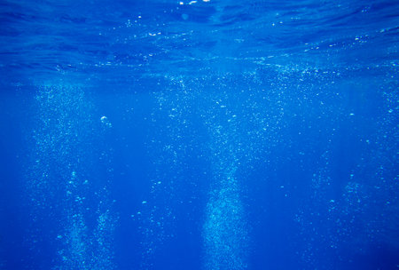 Tranquil underwater scene with copy spaceの写真素材
