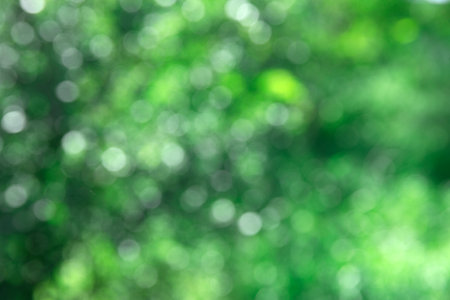 green bokeh background and sunlightの写真素材
